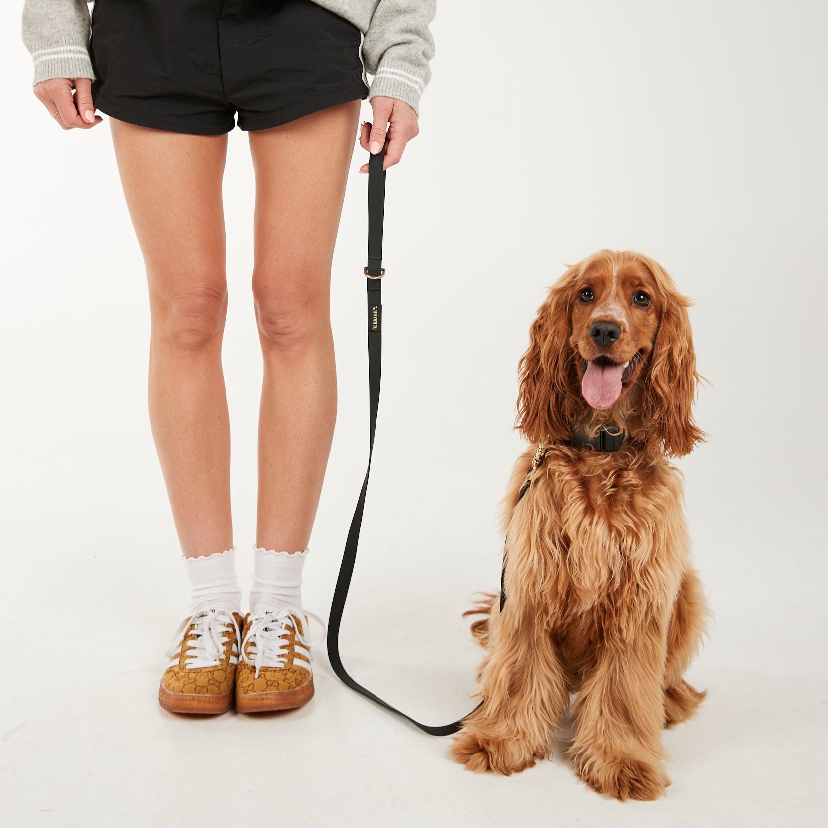 Waterproof Dog Lead
