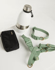 The Stylish Pup Set