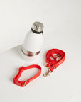 Walk n Wag Pack