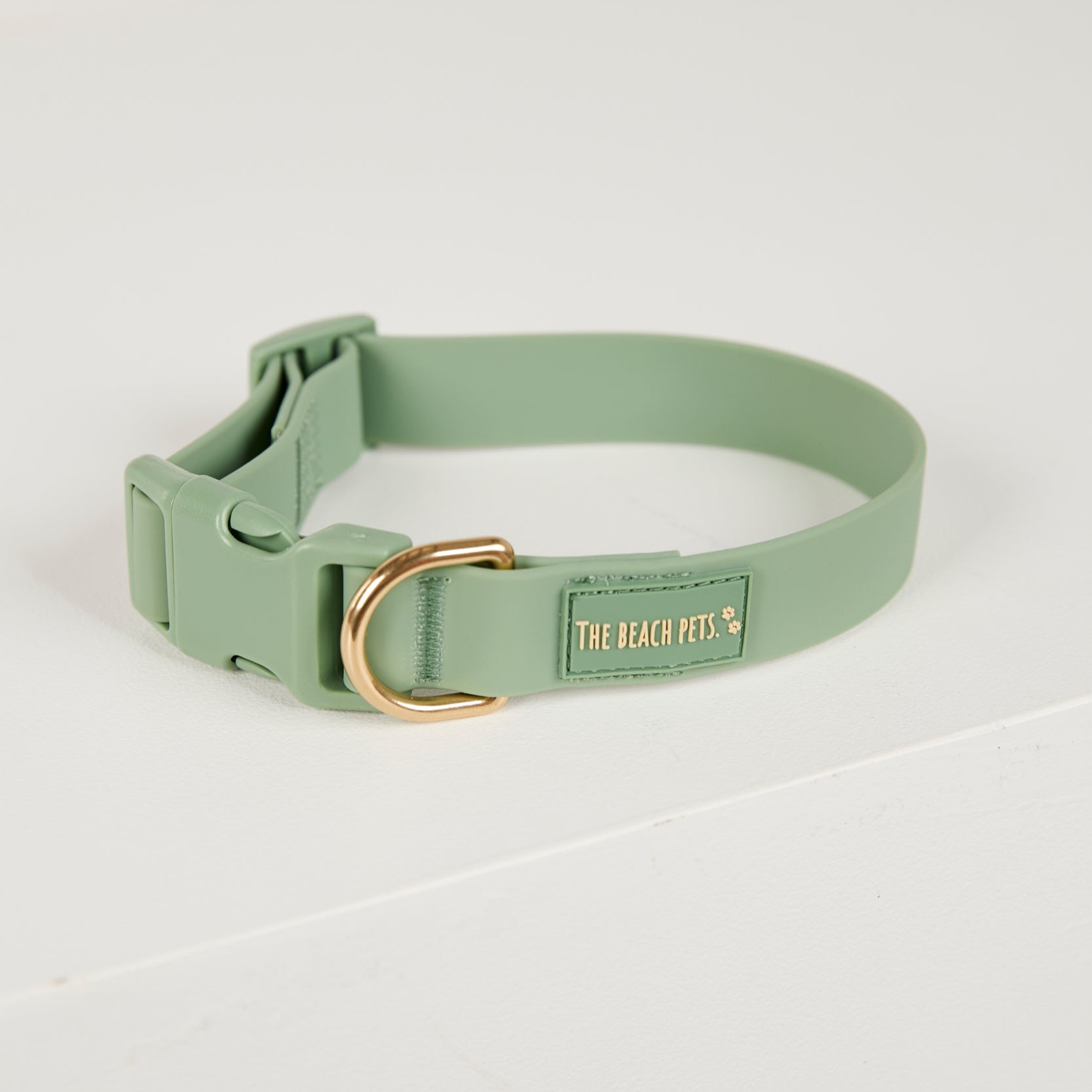 Green dog collar with gold buckle on a light gray background