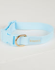 Light blue dog collar with a gold buckle on a light gray background