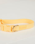 Yellow dog collar on a light gray background