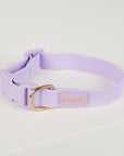Waterproof Dog Collar - Lilac