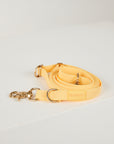 Yellow dog leash with gold hardware on a white background