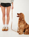 Person standing next to a dog on a leash against a white background