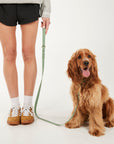 Person wearing a gray sweatshirt and black shorts with a dog on a leash against a white background