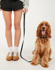 Person wearing a gray sweatshirt and black shorts with a dog on a white background