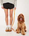 Person in gray sweater and black shorts standing with a dog on a white background