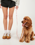 Person wearing a gray sweatshirt and black shorts with a brown dog on a white background