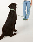 Woman standing next to a black dog on a white background