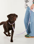 Waterproof lead - Lilac