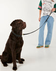 Waterproof lead - Black