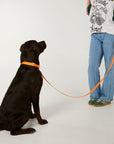 Woman standing next to a black dog on a white background