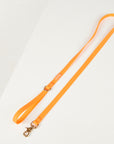 Orange leadd with a gold clasp on a white background