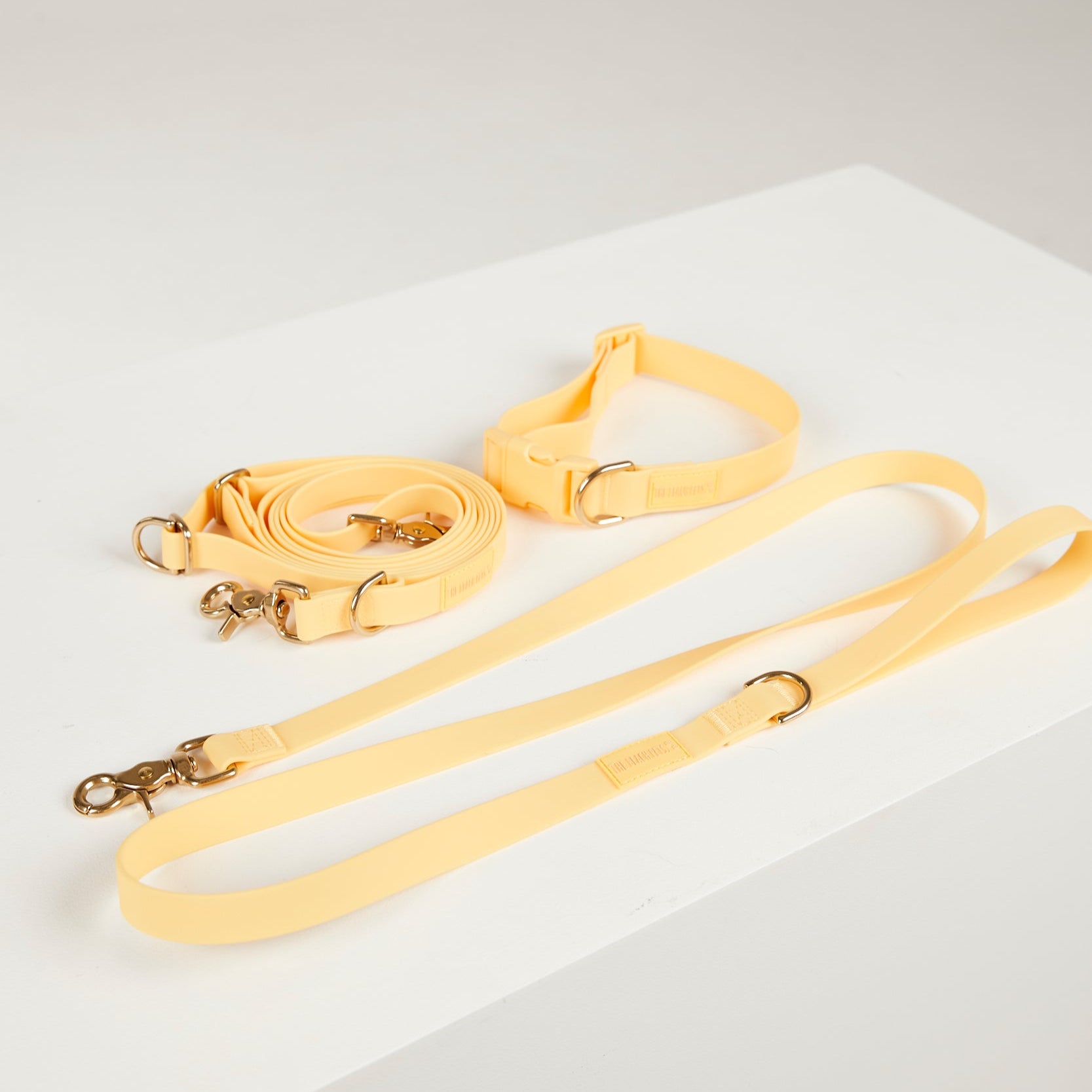 Yellow dog leash with gold hardware on a white surface