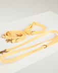 Yellow dog leash with gold hardware on a white surface