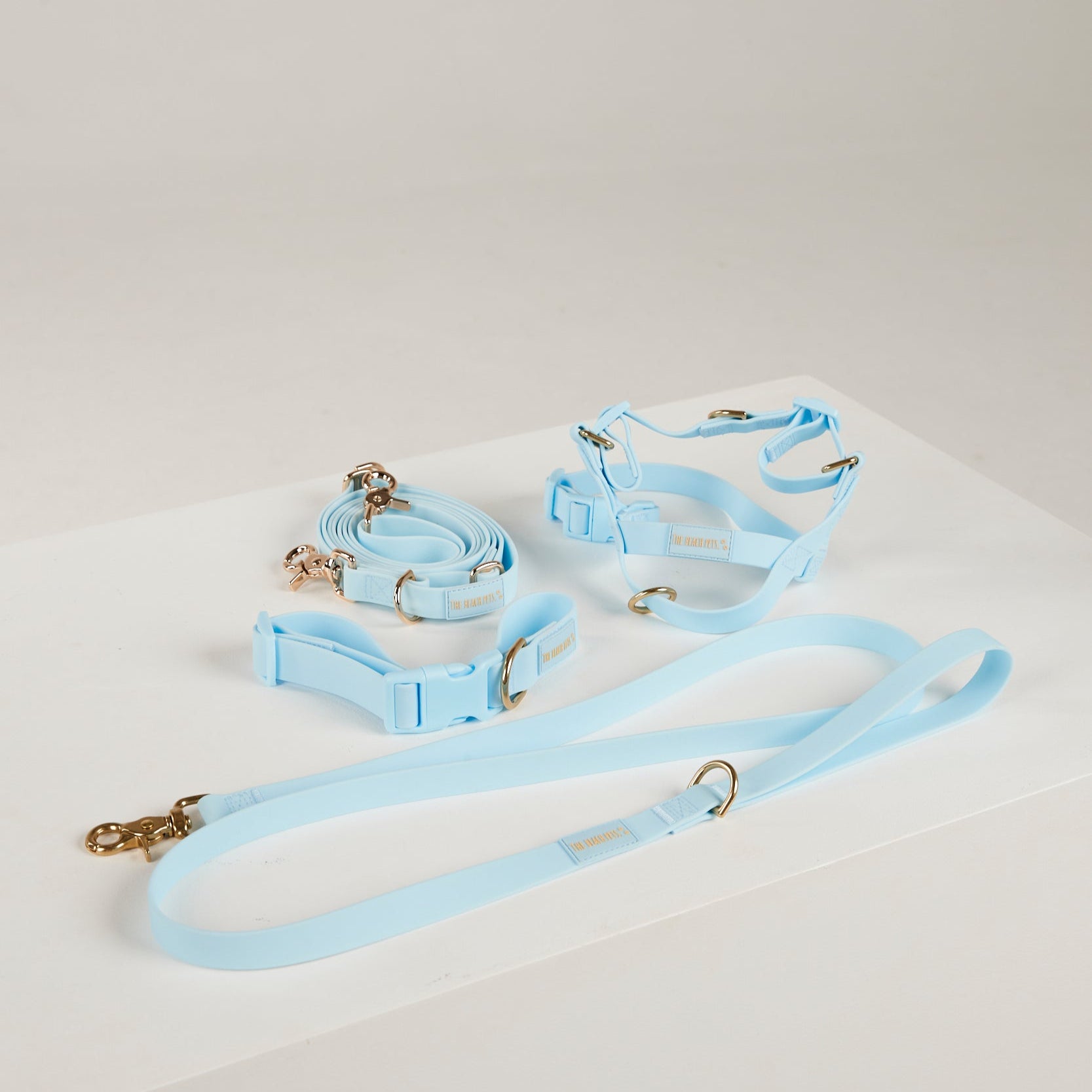 blue dog ultimate pack