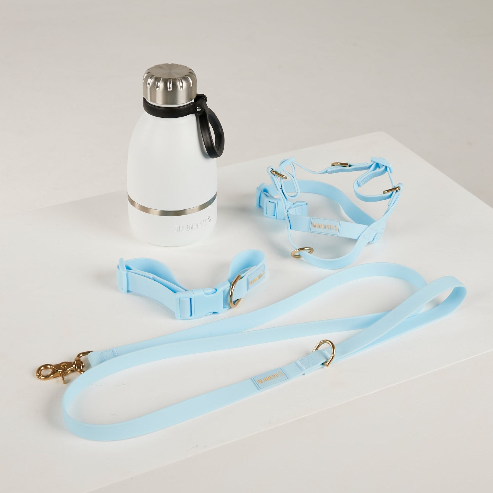 blue dog lead, harness, collar and bottle