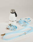 blue dog lead, harness, and botte