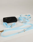 blue dog collar, dog harness, dog leash and poop bag