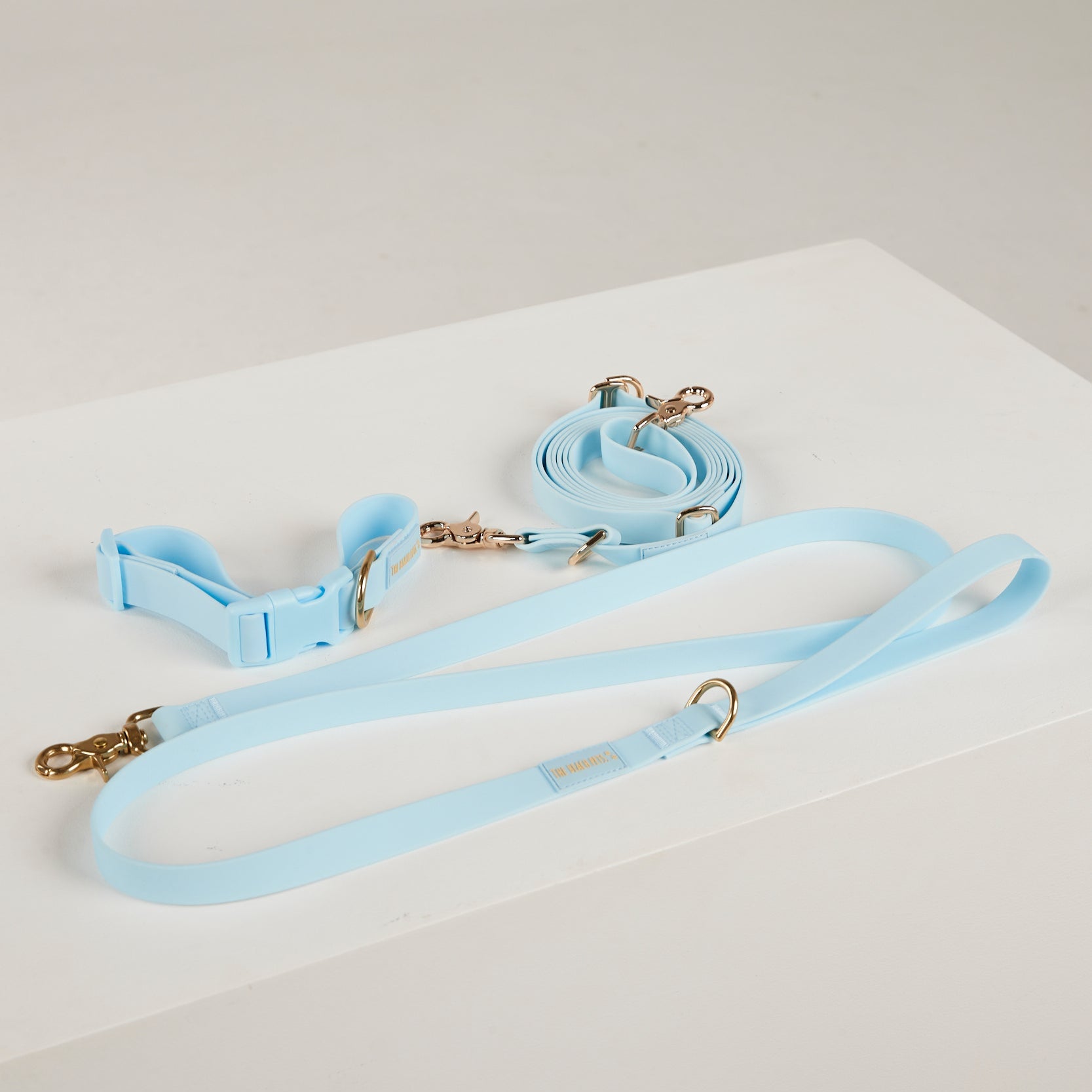 Light blue dog harness and leash set on a white surface with a light gray background