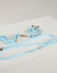 Light blue dog harness and leash set on a white surface with a light gray background