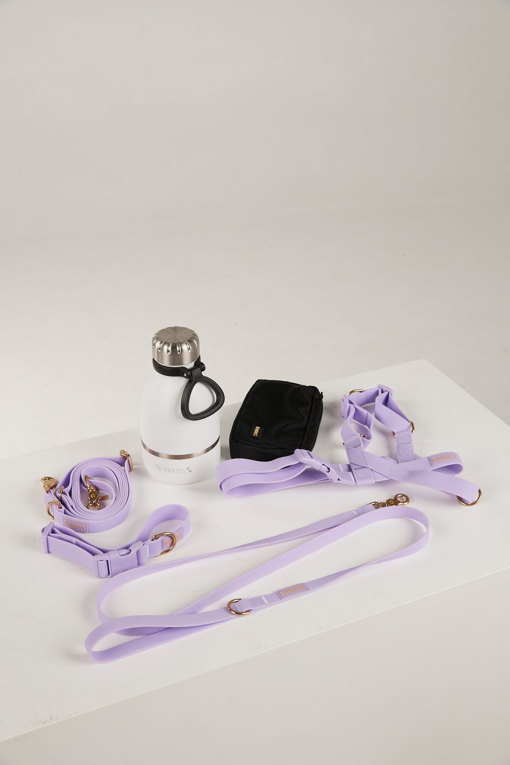 Collection of dog training equipment including a collar, leash, and other accessories on a white surface.