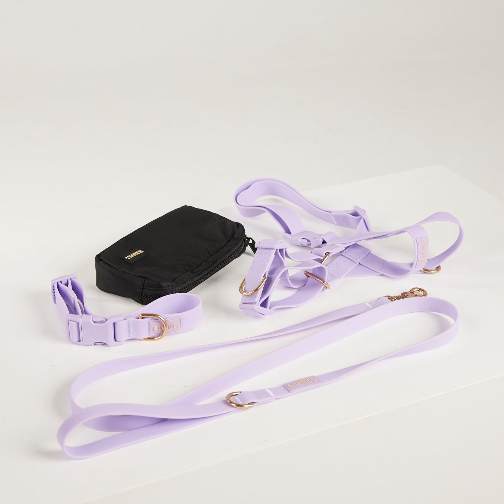 lilac dog collar, dog harness, dog leash and poop bag