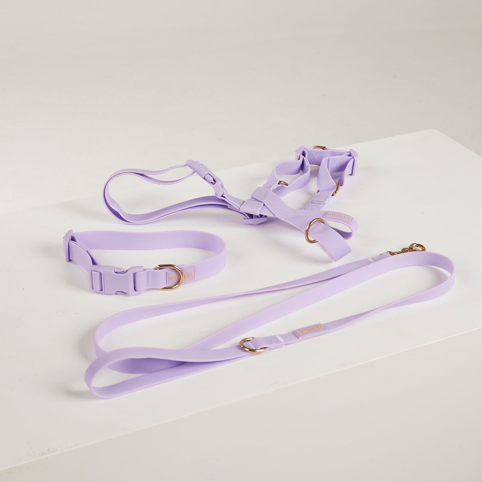 lilac collar lead harness