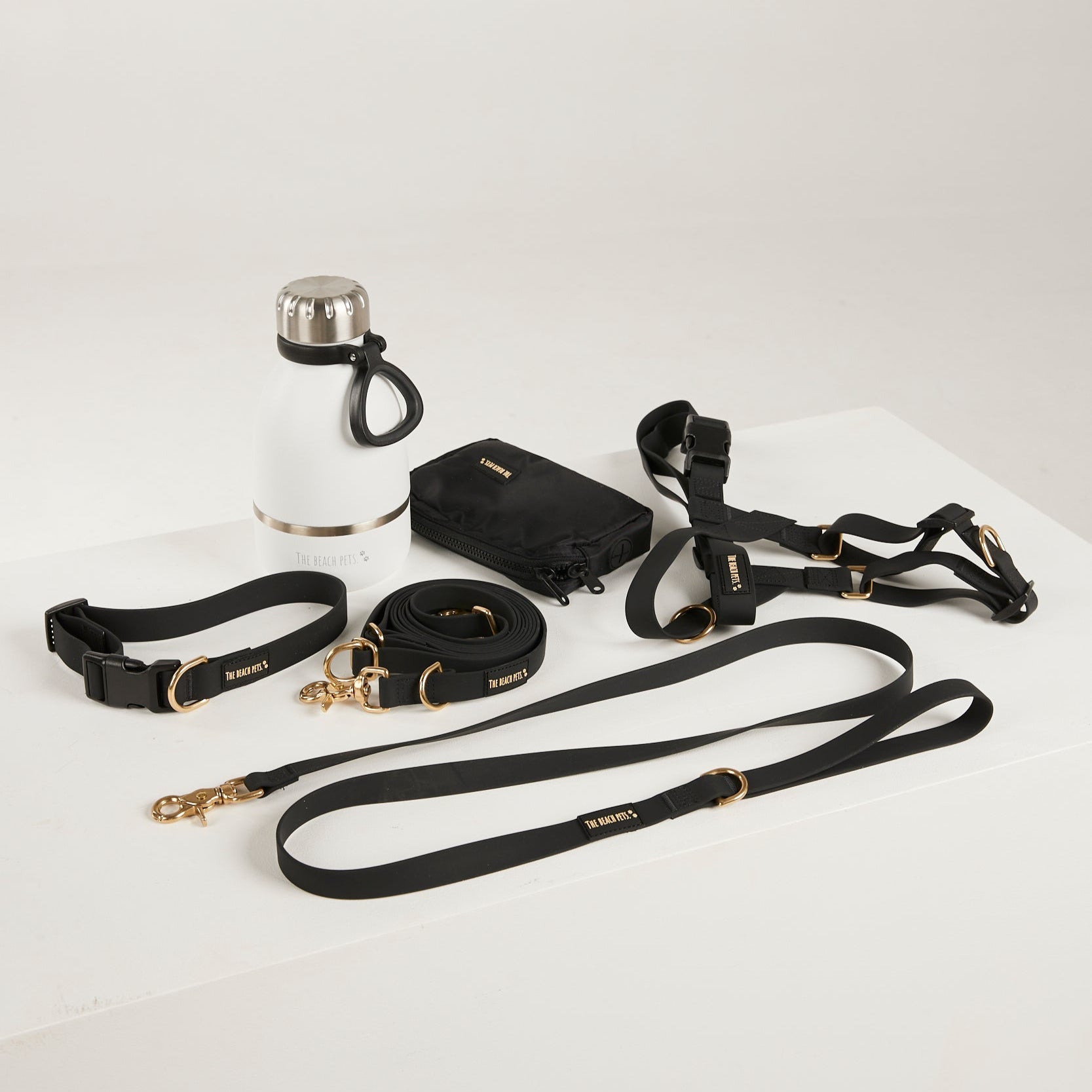Dog training equipment including a collar, leash, and remote trainer on a white background
