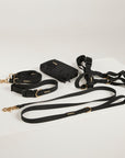 Dog training equipment including a collar, leash, and harness on a light gray background