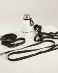 Collar + HF Lead + Lead + Bottle + Harness