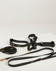 black dog ultimate pack