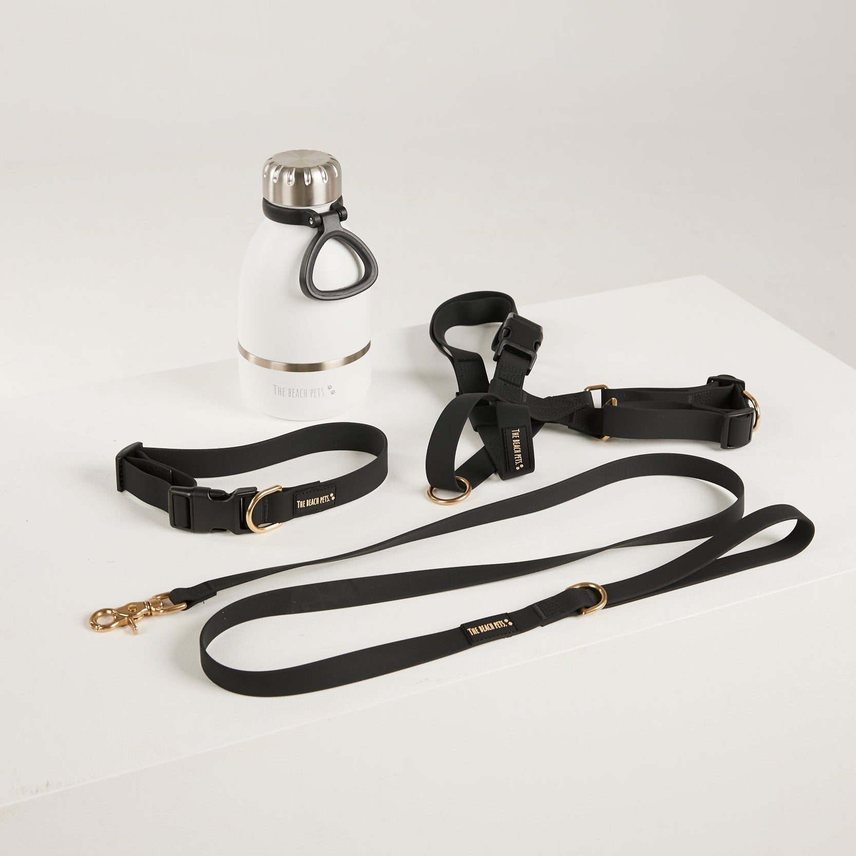 black dog lead, harness, collar and bottle