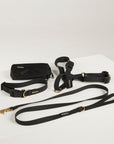 black dog collar, dog harness, dog leash and poop bag