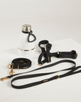 Dog leash, collar, and water bottle on a white background