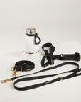 back dog lead, harness, and botte