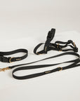 Collar + Lead + Harness