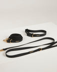 Black dog collar and leash set on a white background