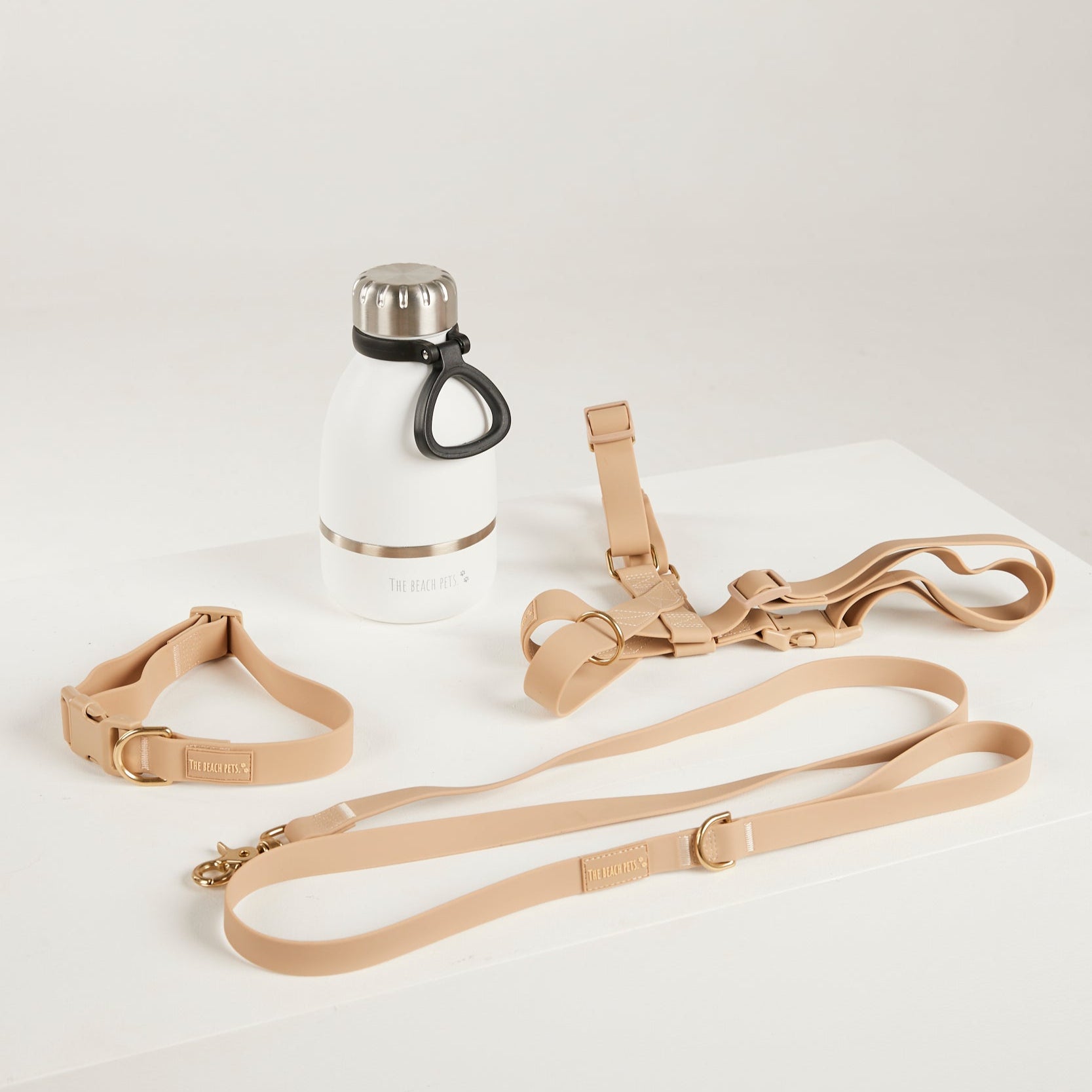 sand dog lead, harness, collar and bottle