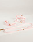 pink collar lead harness