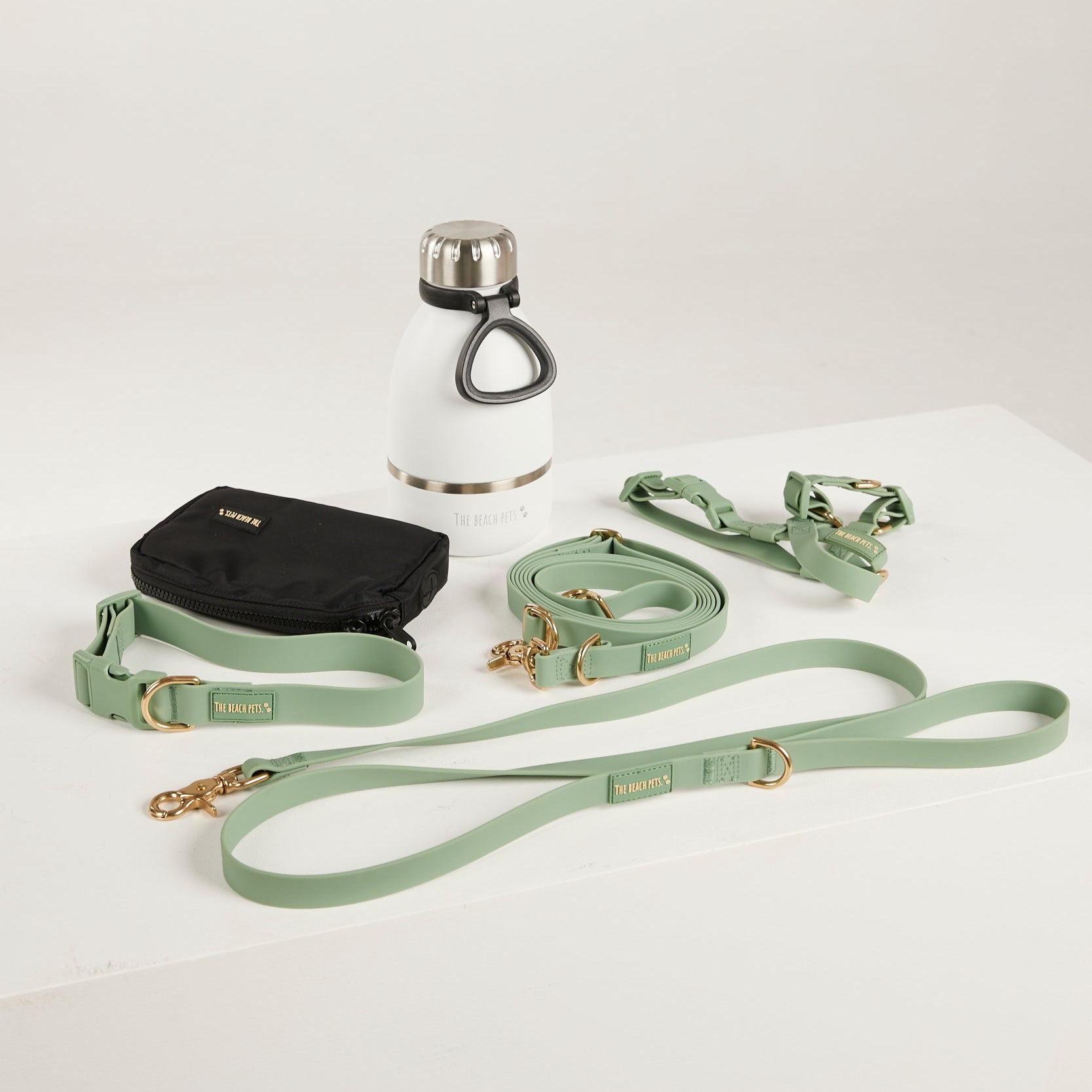 Dog leash, collar, and water bottle on a white background