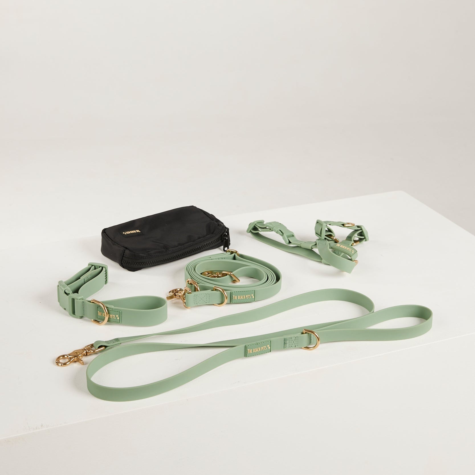 Green dog leash and black bag on a white background