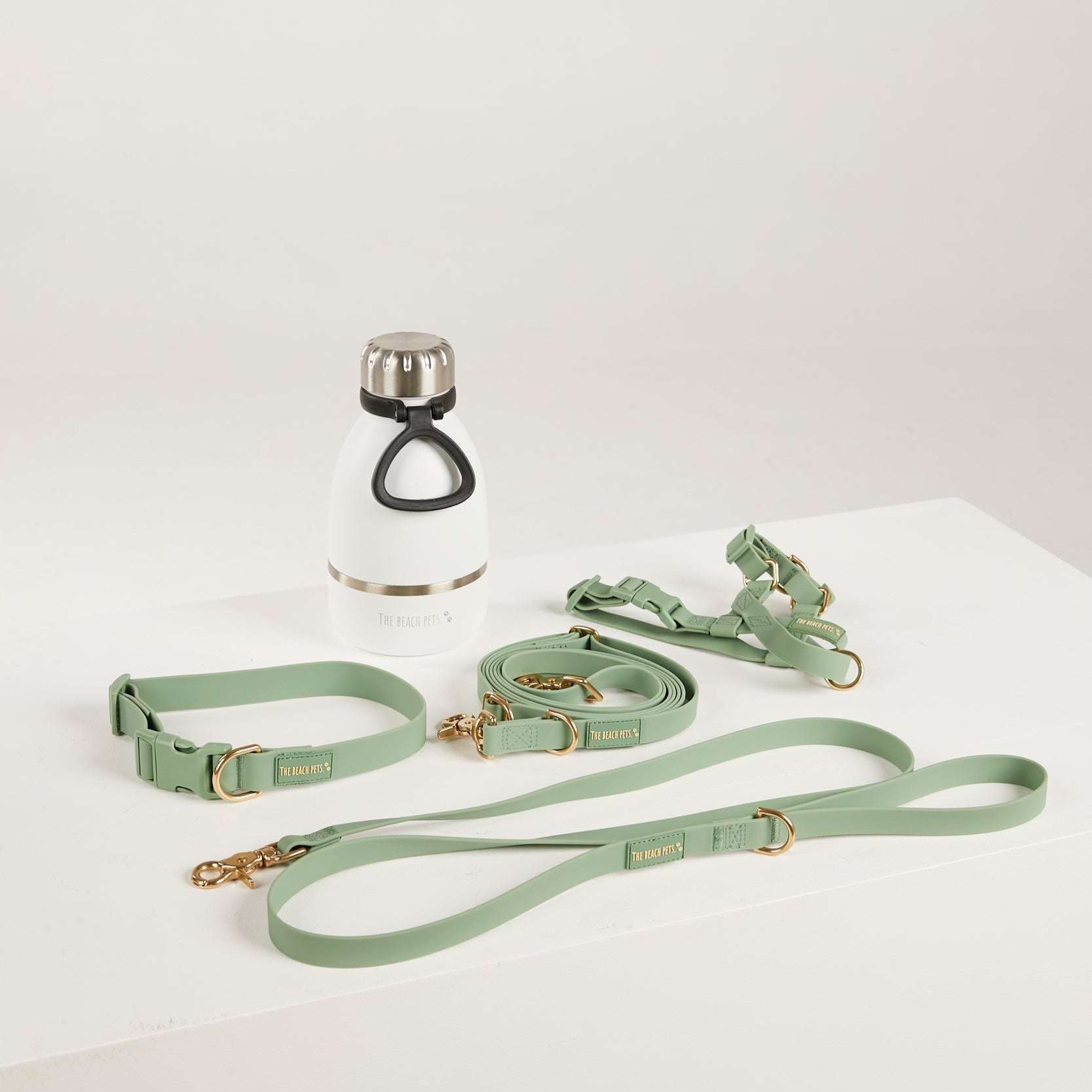 complete dog walk pack