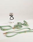 complete dog walk pack