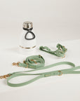 green dog lead, harness, and botte