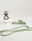 green waterproof harness, dog lead and waterbottle