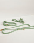 green collar lead harness