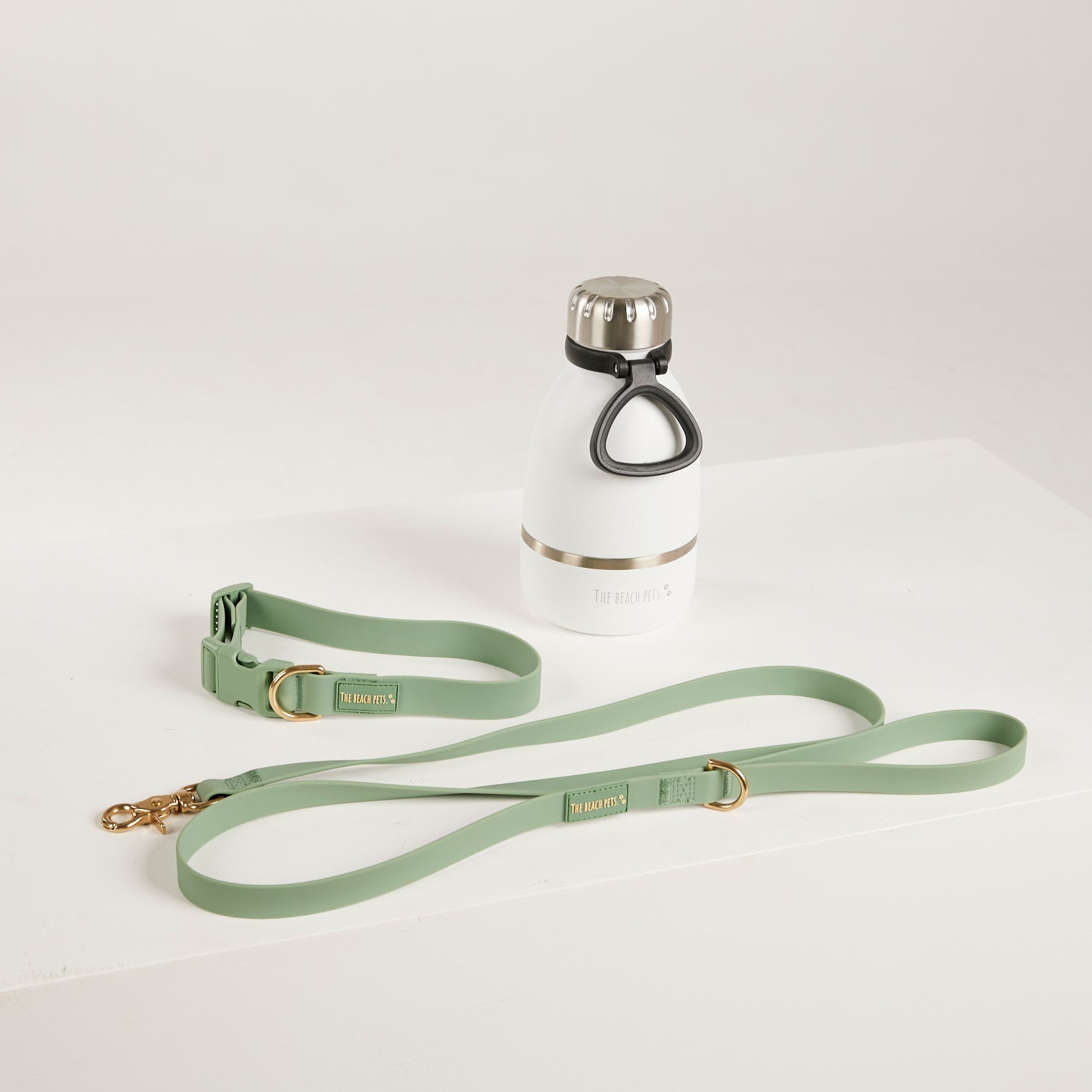 green dog leash green dog collar