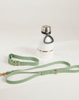 green dog leash green dog collar